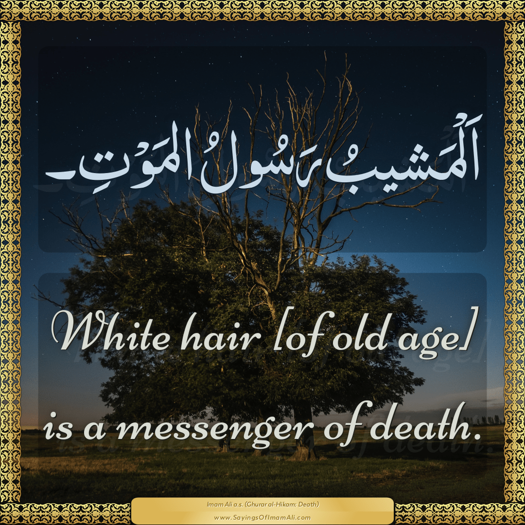 White hair [of old age] is a messenger of death.